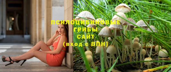 мескалин Баксан
