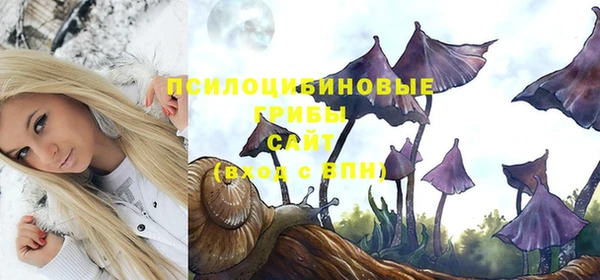 стафф Балабаново