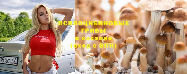 мескалин Баксан