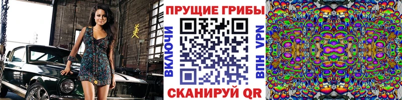 нарко площадка формула  Приозерск  Псилоцибиновые грибы ЛСД 